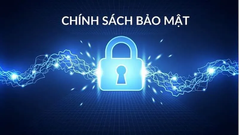 Giới thiệu đôi nét về Vebo
