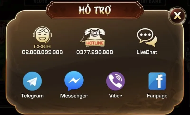 Những cách liên hệ Vebo nhanh nhất cho tân thủ